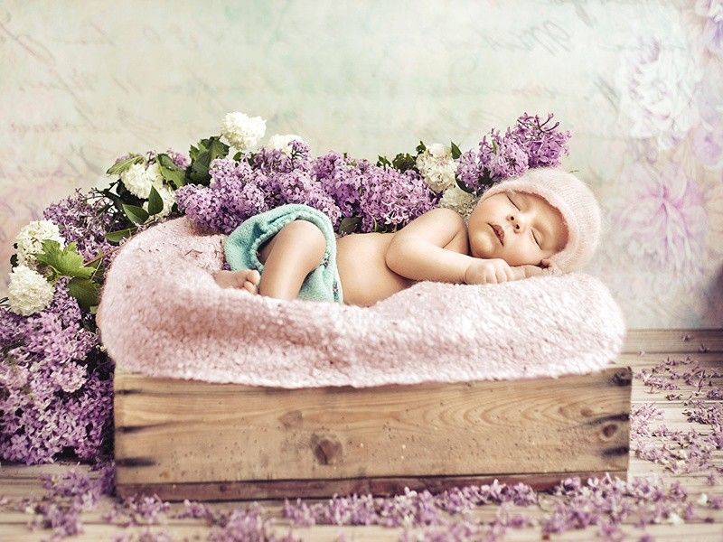Lilac_Infants_Sleep_484183.jpg