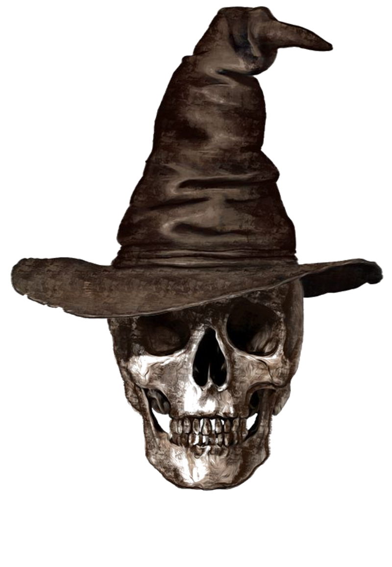kisspng-calavera-human-skull-symbolism-drawing-skeleton-skeleton-witch-5a8e1b78462883-5251894615192625842874.png