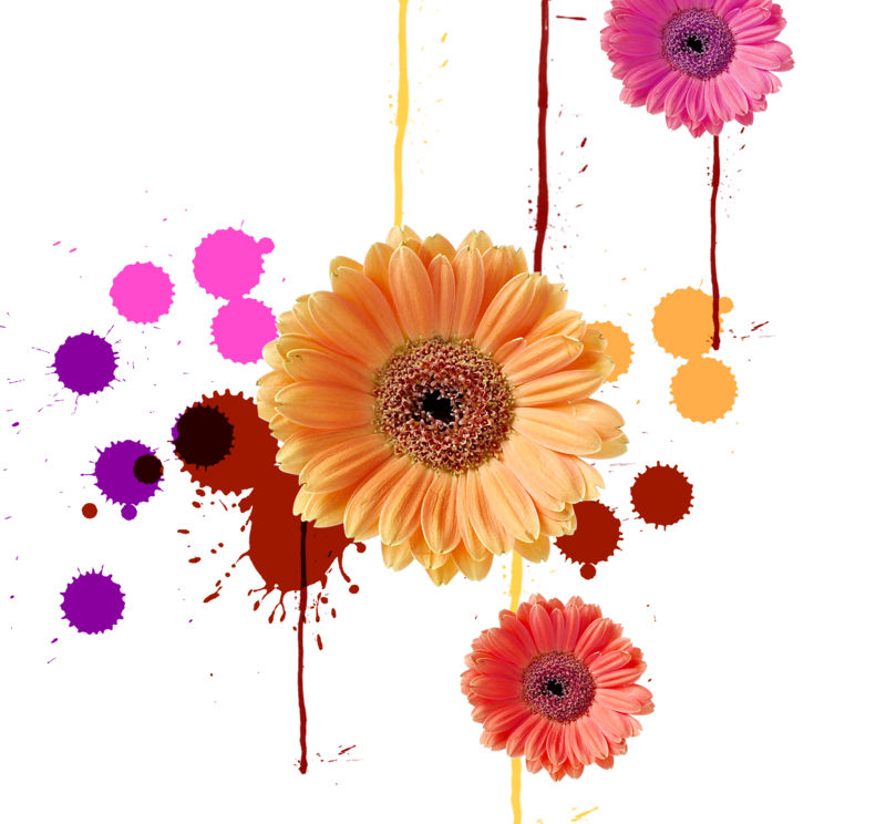kisspng-ink-color-computer-file-colorful-splash-ink-chrysanthemum-5a91e86dd0dc08-7046671215195116618555.png